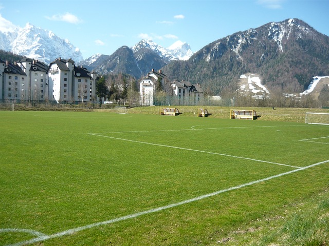Dybal