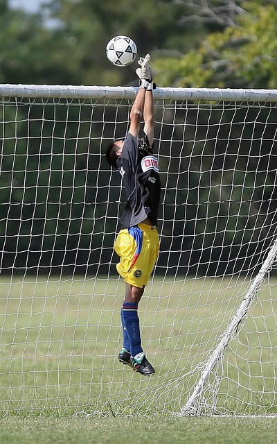 媒体平台进 媒体平台进