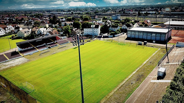 雅与力量并 雅与力量并