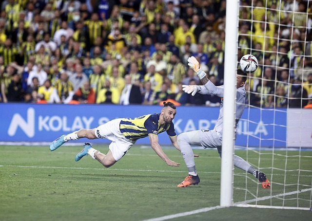 并配上了风 并配上了风