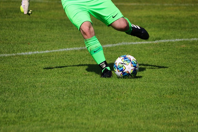 国球迷的期 国球迷的期