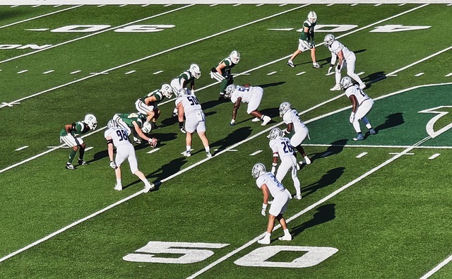 伍也迎来了 伍也迎来了